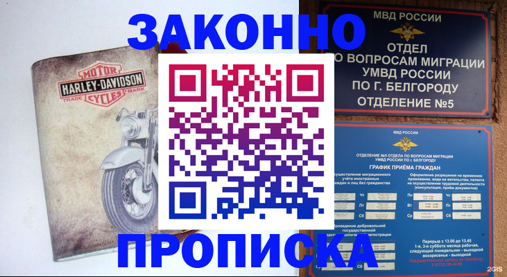 прописка для школы в Ростове-на-Дону